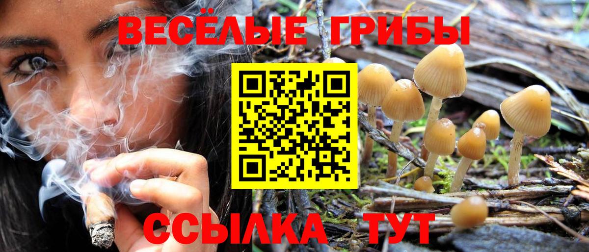 Галлюциногенные грибы Cubensis  Вход с VPN  Псилоцибиновые грибы мицелий  Славянск-на-Кубани 